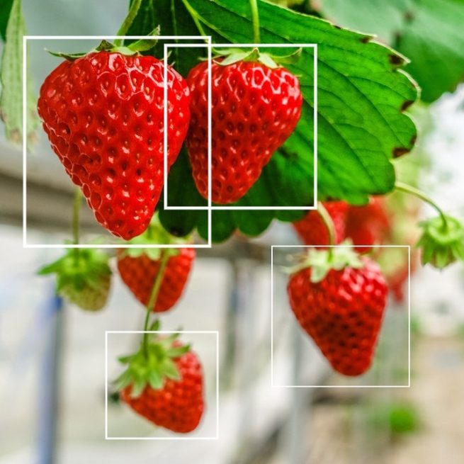 Agritech Training Ei Operator